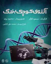 آرزوی کوچک و بزرگ
