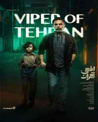 افعی تهران - قسمت سیزدهم سریال افعی تهران