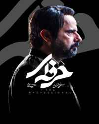 حرفه ای - قسمت 14 حرفه ای